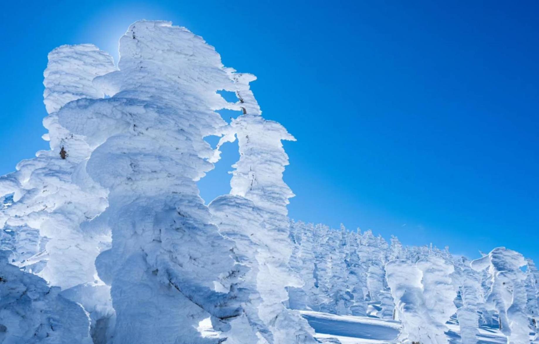 Snowfall Meteor 飛雪流星 Kaminoyama Exterior photo